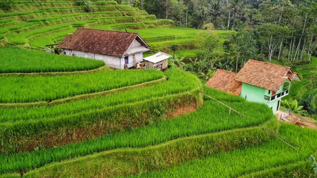 hidup damai di pedesaan
