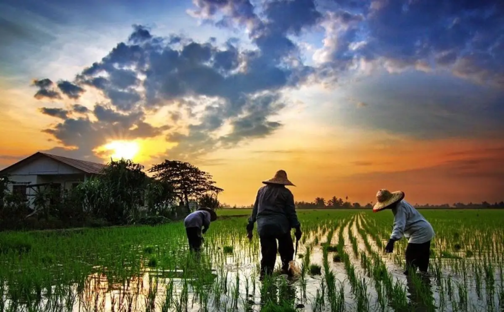 Bosan kota 7 Alasan hidup di pedesaan bikin bahagia 