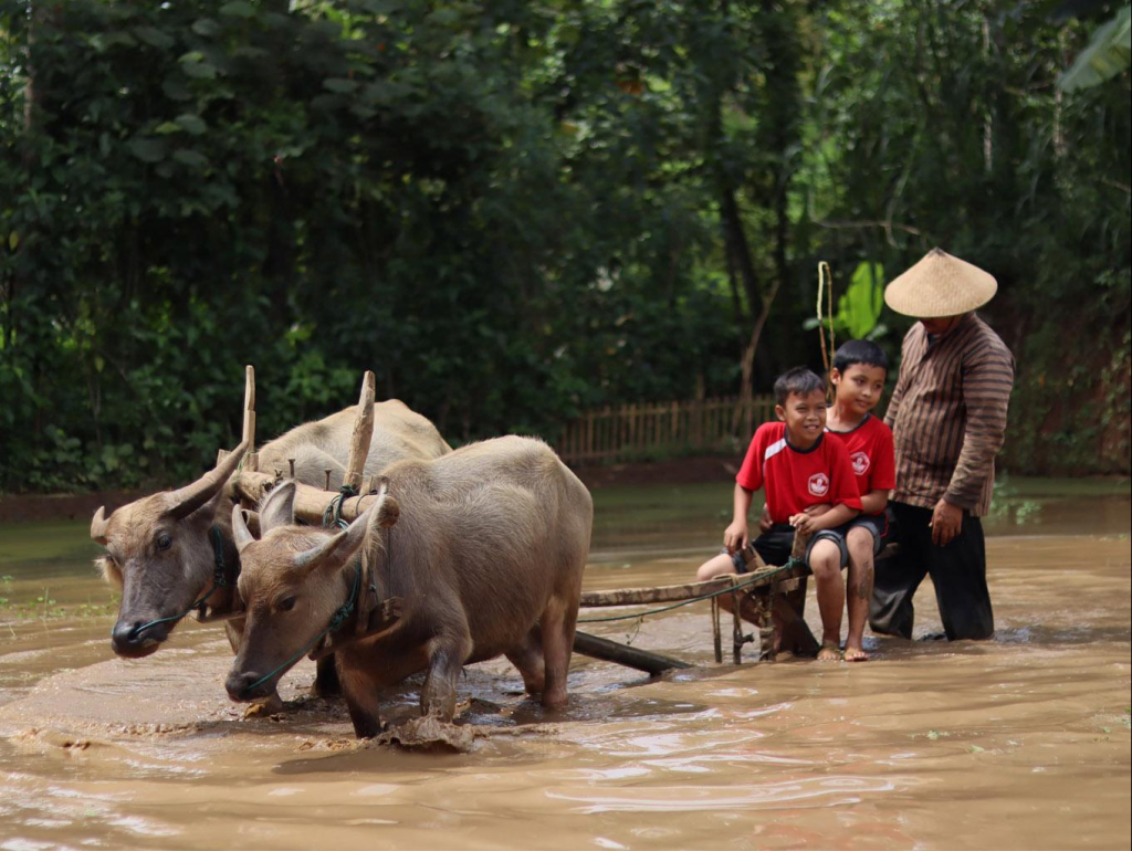 Liburan Murah Seru di Desa Wisata Indonesia: Rahasia Gen Z 2025 yang Wajib Kamu Coba!