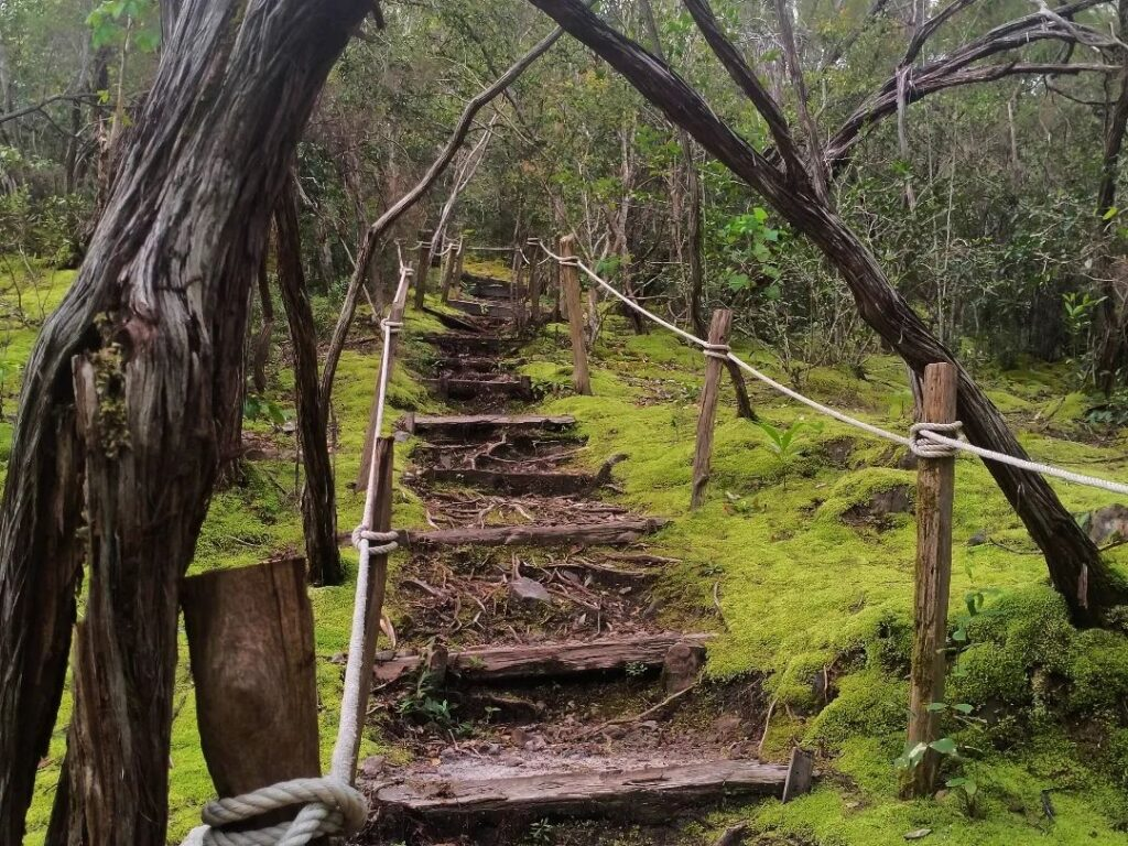 Agrotourism dan Slow Travel: Trend Travel Masa Kini yang Wajib Kamu Coba di 2025