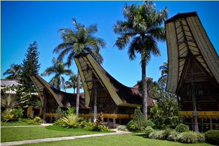 Tana Toraja 2025: Panduan Liburan Desa Adat, Hiking & Sawah