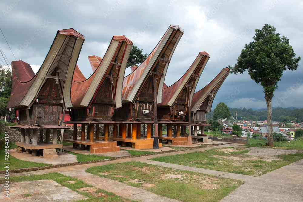 Tana Toraja 2025: Panduan Liburan Desa Adat, Hiking & Sawah