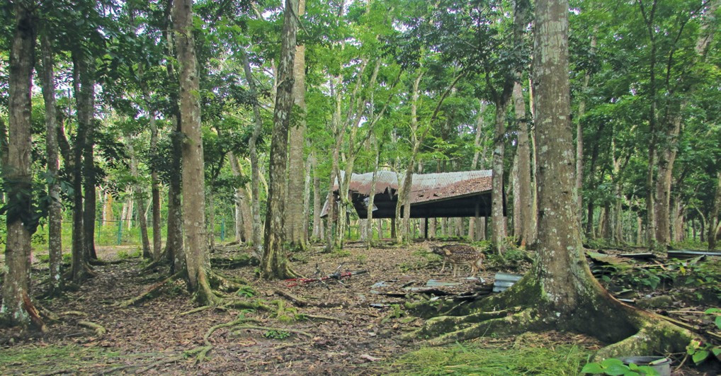 Kisah Desa Wisata Merangin: Geopark Purba 2026