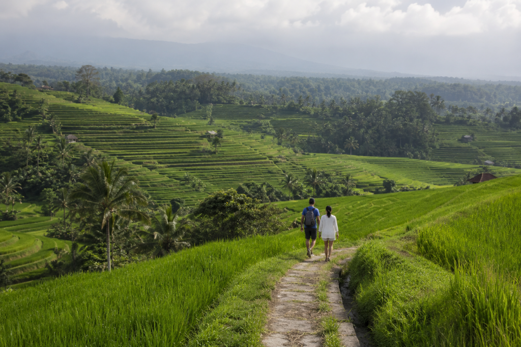 Sawah Terasering Jatiluwih Bali, Destinasi UNESCO yang Wajib Dijamah Sebelum Ramai